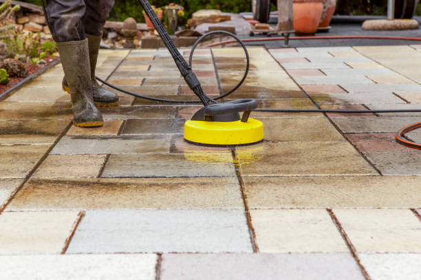 Best Soft Washing for Delicate Surfaces in Southgate, KY